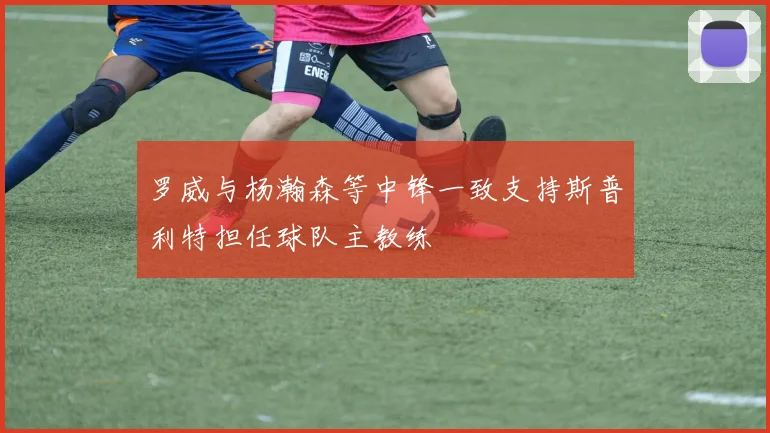 罗威与杨瀚森等中锋一致支持斯普利特担任球队主教练