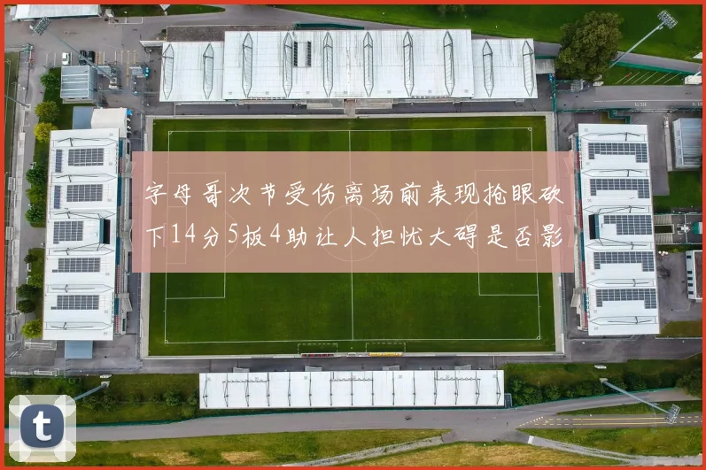 字母哥次节受伤离场前表现抢眼砍下14分5板4助让人担忧大碍是否影响后续比赛