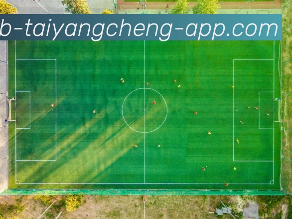 太阳城发展历程