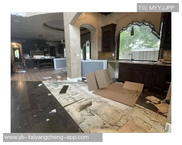 约内斯库洛杉矶住所遭窃多个手提包被盗损失超六万元