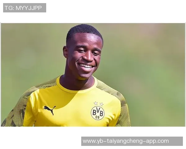 法甲球员身价下滑分析扎伊尔埃梅里与帕瓦尔领衔跌幅榜